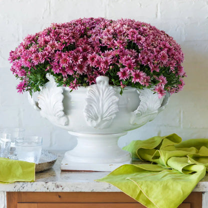 Acanthus Leaf Terracotta Centerpiece Bowl - view 6