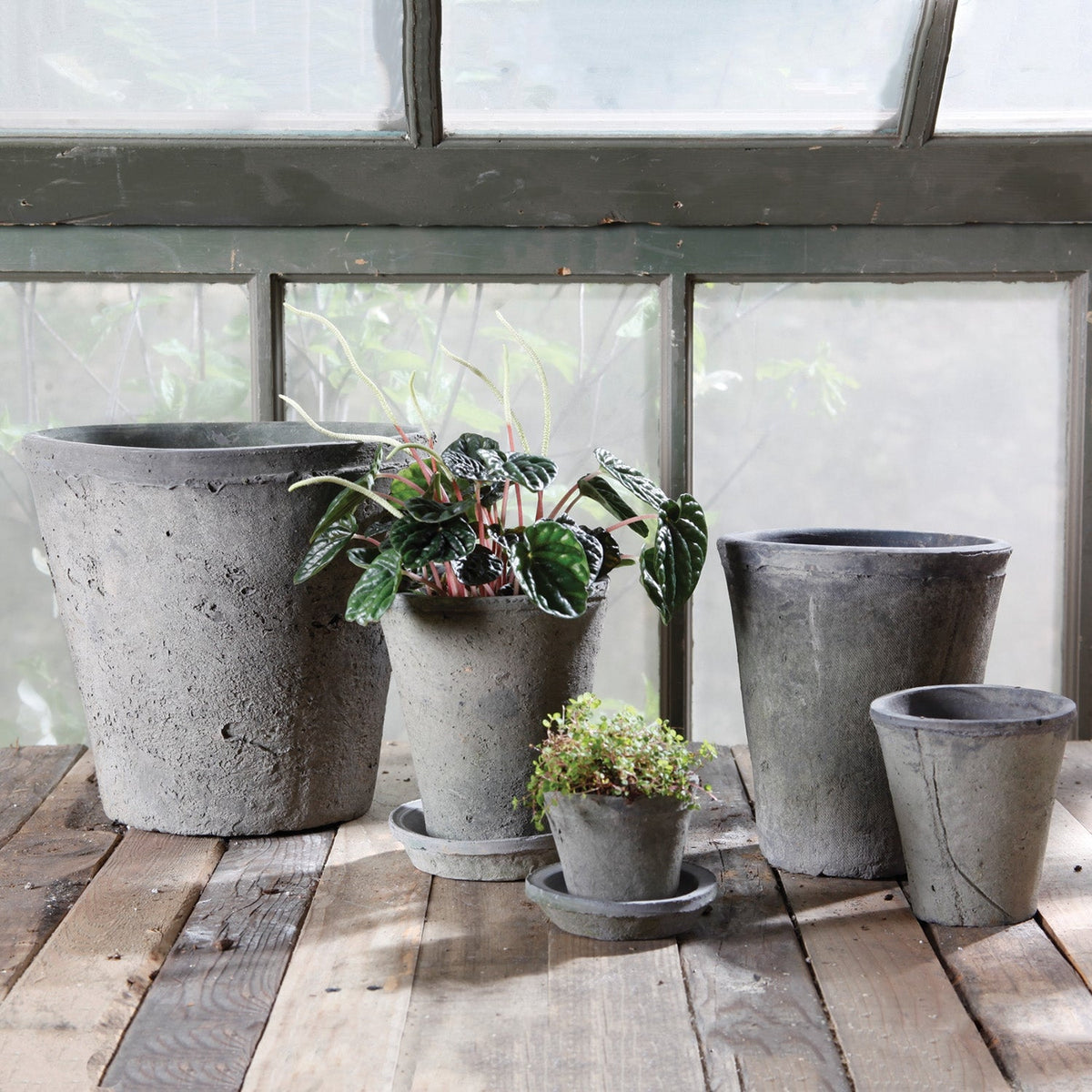 Aged Terracotta Rose Pot – Moss Gray - view 2