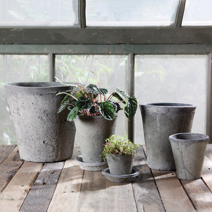 Aged Terracotta Rose Pot – Moss Gray - view 2